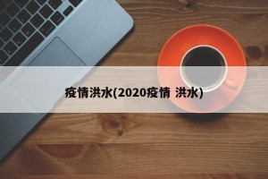 疫情洪水(2020疫情 洪水)